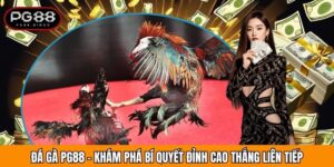 Đá Gà PG88 - Khám Phá Bí Quyết Đỉnh Cao Thắng Liên Tiếp