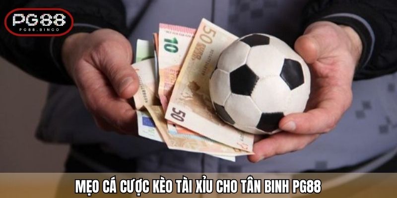 Mẹo cá cược kèo tài xỉu cho tân binh PG88