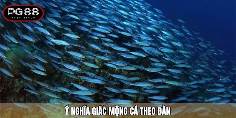 Ý nghĩa giấc mộng cá theo đàn