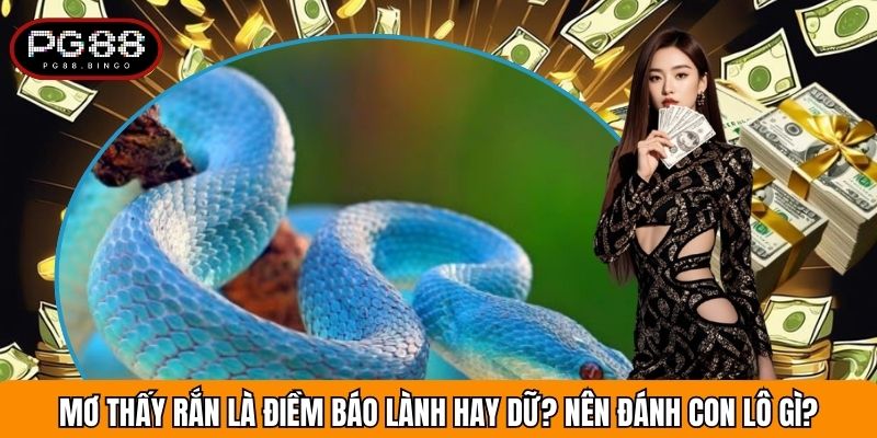 Mơ Thấy Rắn Với Điềm Báo Lành Hay Dữ? Nên Đánh Con Lô Gì?