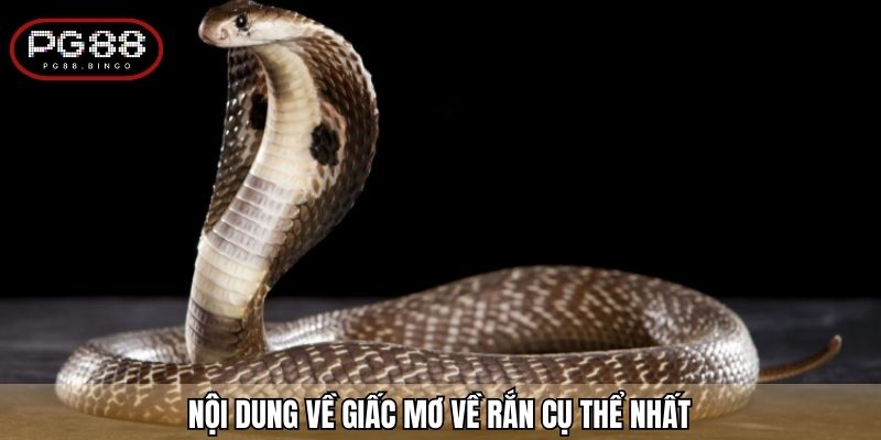 Nội dung về giấc mơ về rắn cụ thể nhất
