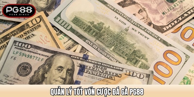 Quản lý tốt vốn cược đá gà PG88