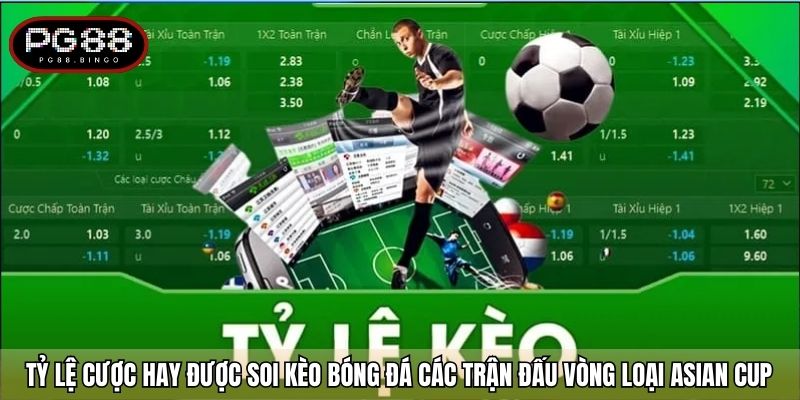 Tỷ lệ cược hay được soi kèo bóng đá các trận đấu vòng loại Asian Cup